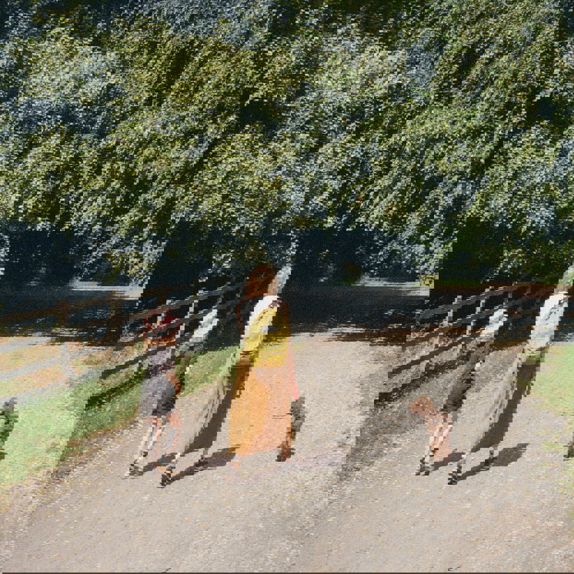 Best Glamping Spots in Auckland